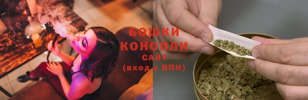 mdpv Козловка