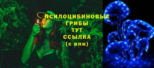 mdpv Козловка