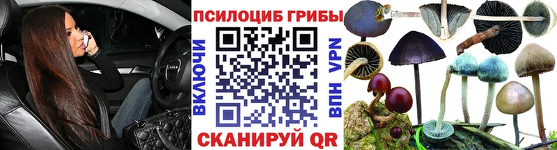 Галлюциногенные грибы Psilocybe  Купить где  Саранск 
